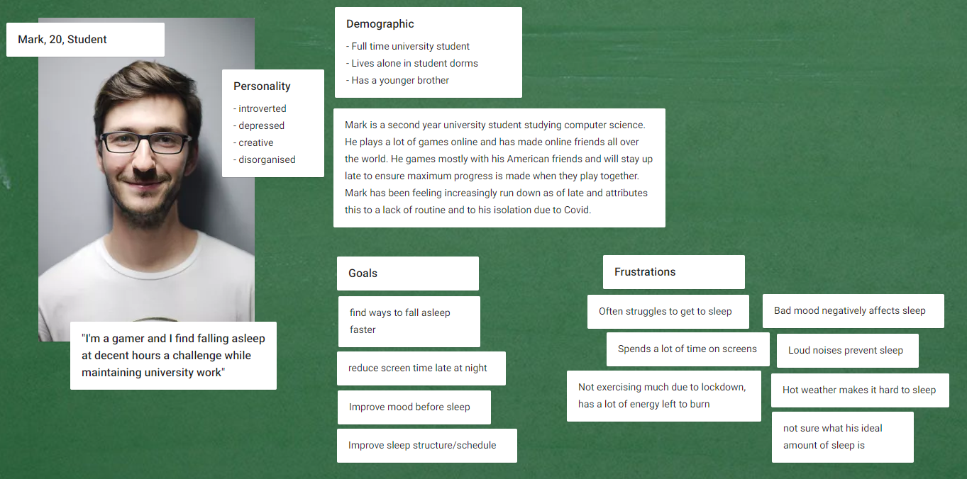 A fictional mid 20s persona is displayed alongside information about him.